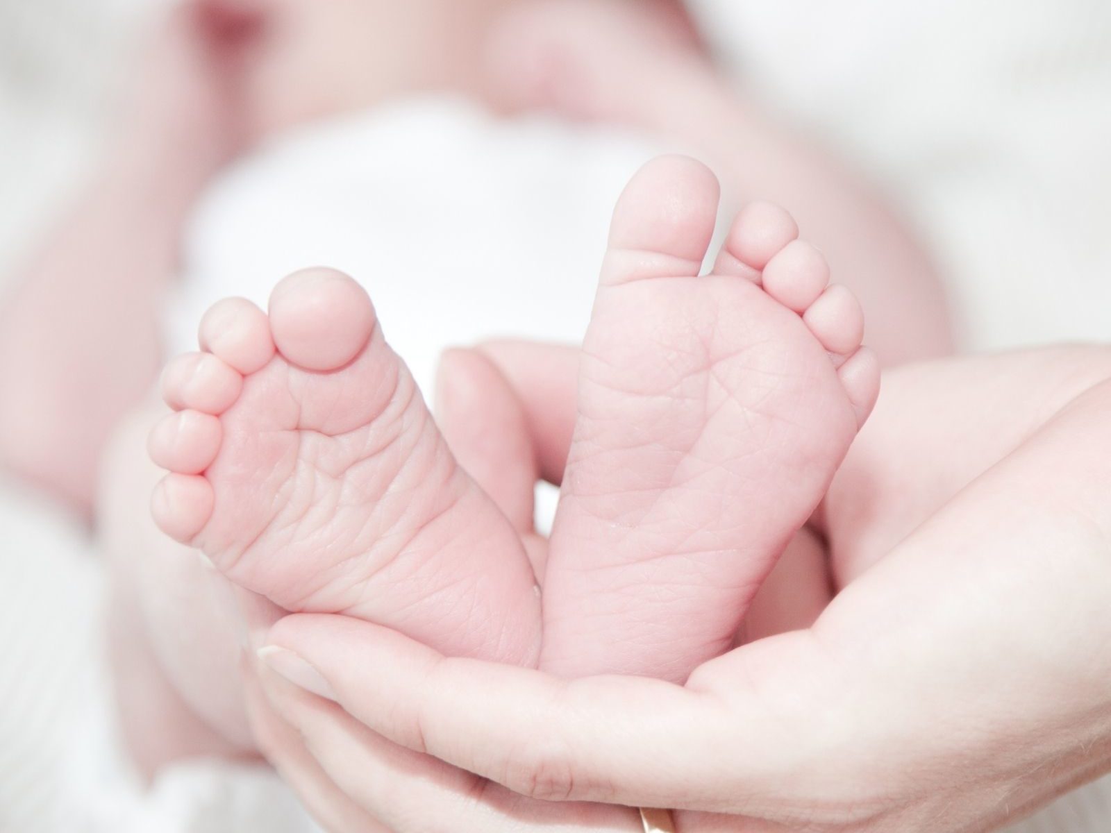 फ़तेहाबाद: महिला ने एक साथ दिया तीन बच्चों को जन्म, जच्चा-बच्चा सभी सुरक्षित - women gives birth triplets in fatehabad haryana hpvk