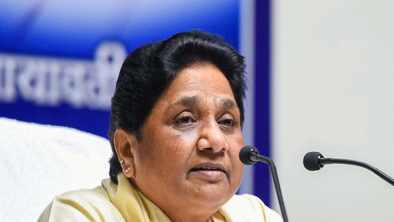 up assembly election 2022 bsp supremo mayawati likely to expel mukhtar  ansari and his brother afzal ansari from party-UP Assembly Election तो मुख्तार  अंसारी और उनके सांसद भाई अफजाल को बाहर का