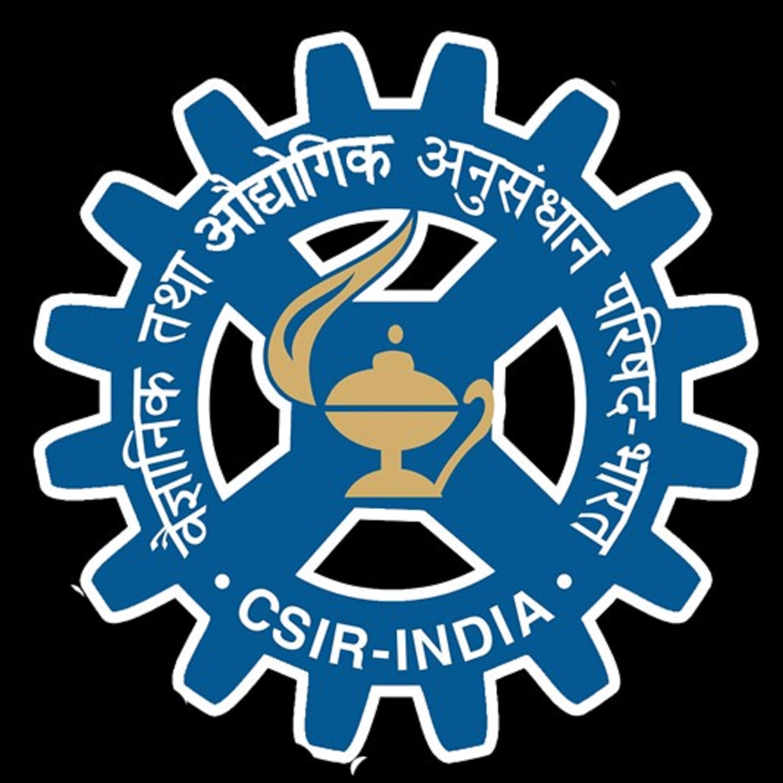 CSIR SO ASO CBT 2 Exam Date 2024, CBT 1 Result for 444 Vacancies
