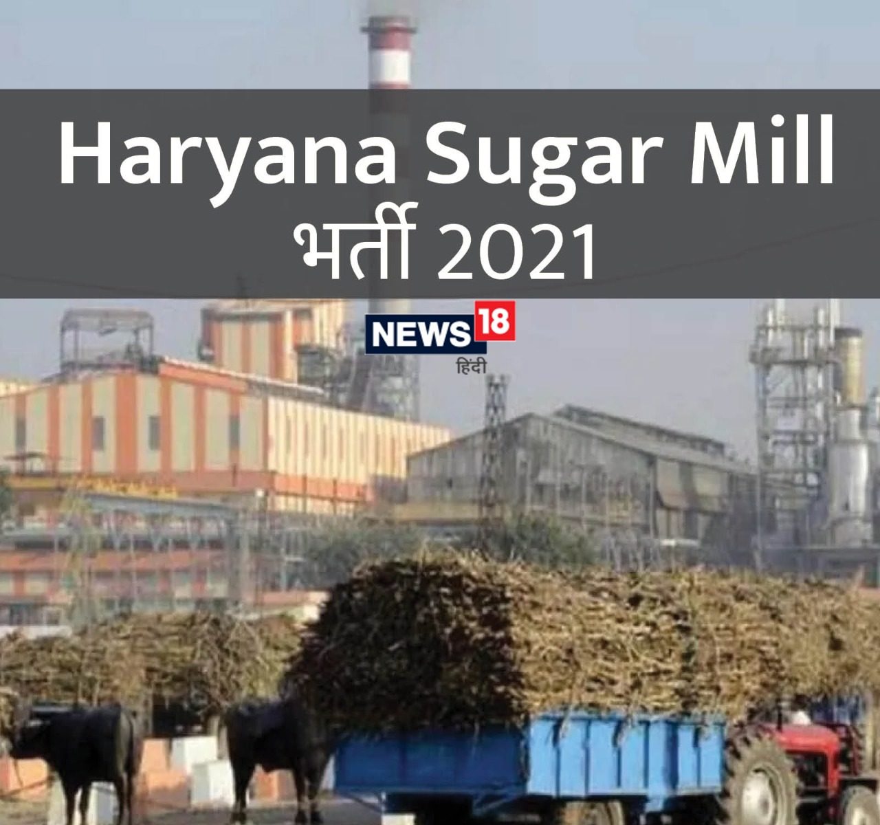 Haryana Sugar Mill Recruitment 20 हरियाणा Sugar Mill ...