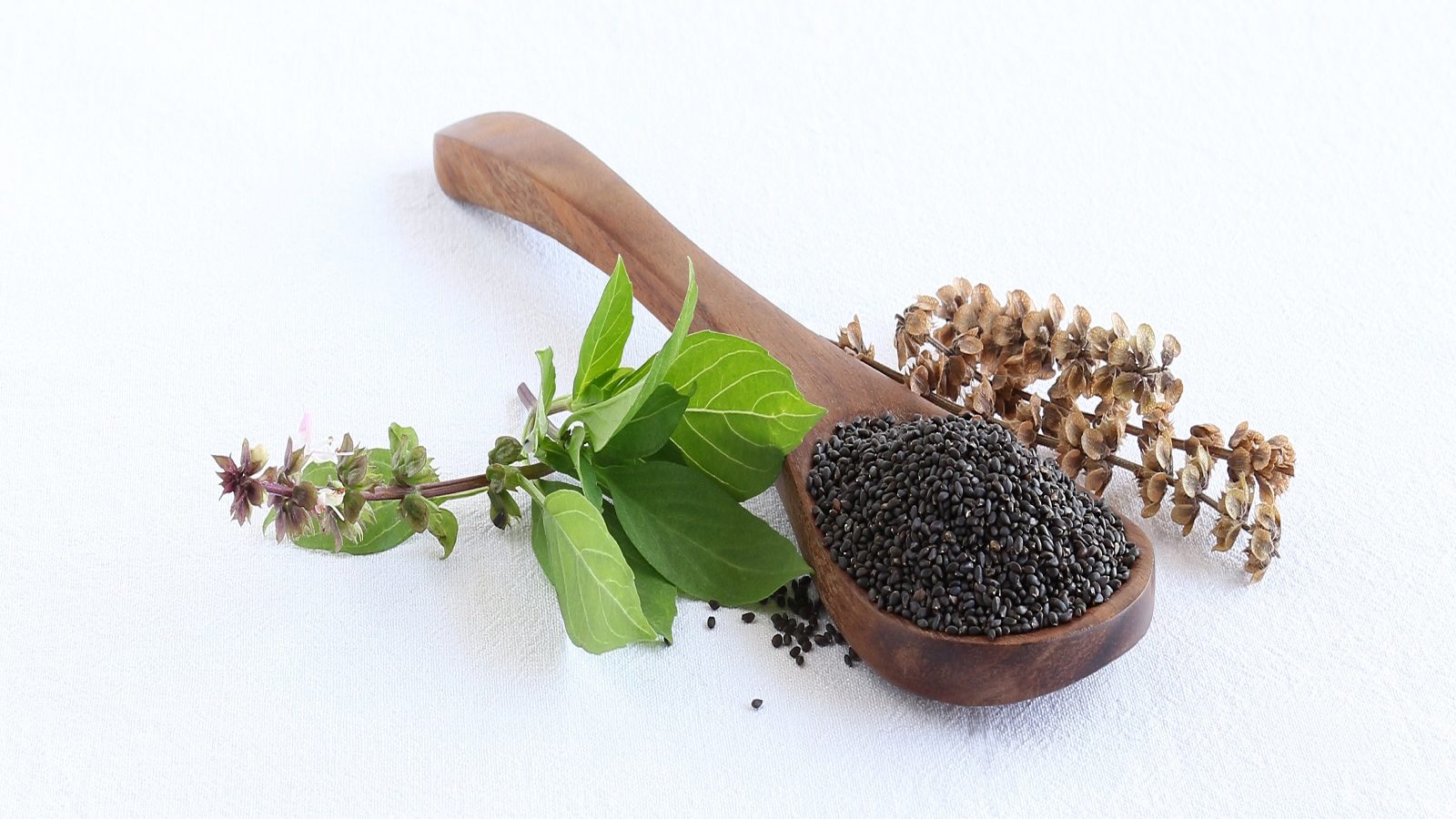 Basil Seeds Benefits