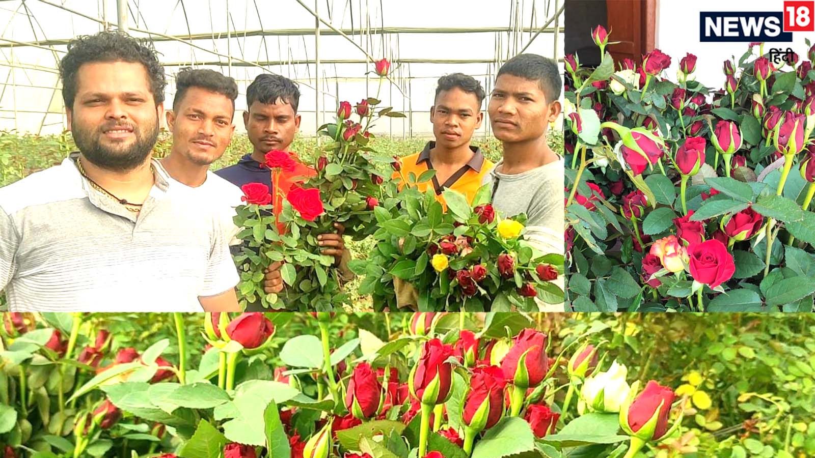An engineer who left a private job to grow roses happened on Valentine’s Day.