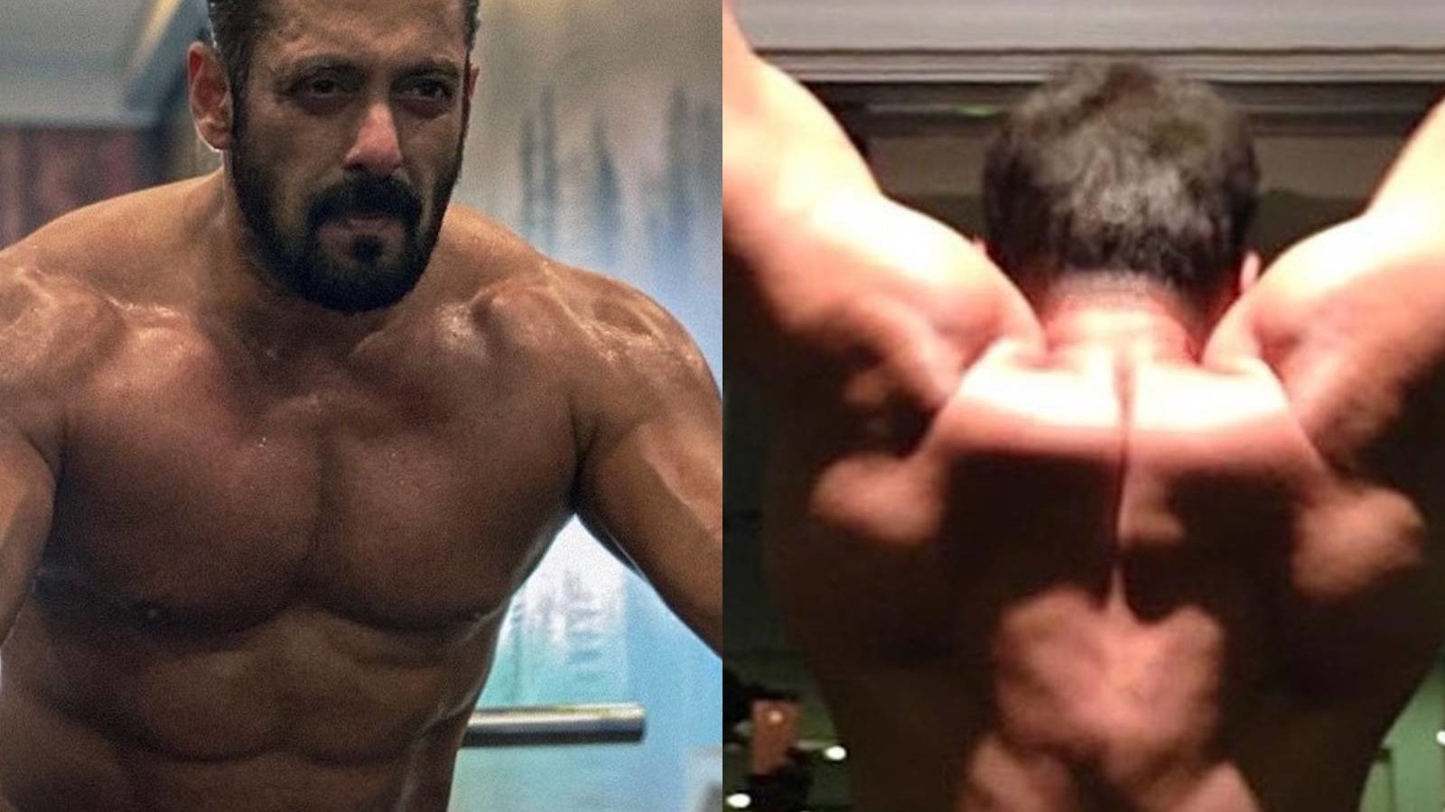 Salman Khan ने फिर शेयर की शर्टलेस फोटो, फ्लॉन्ट किए बैक और आर्म्स मसल्स