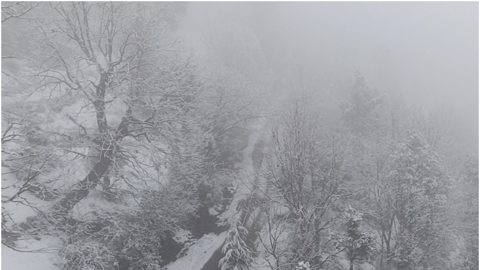 Snowfall in Uttarakhand: चमोली में बारिश और बर्फबारी जारी, सफेद चादर से ढके बद्रीनाथ धाम-नीति समेत कई इलाके