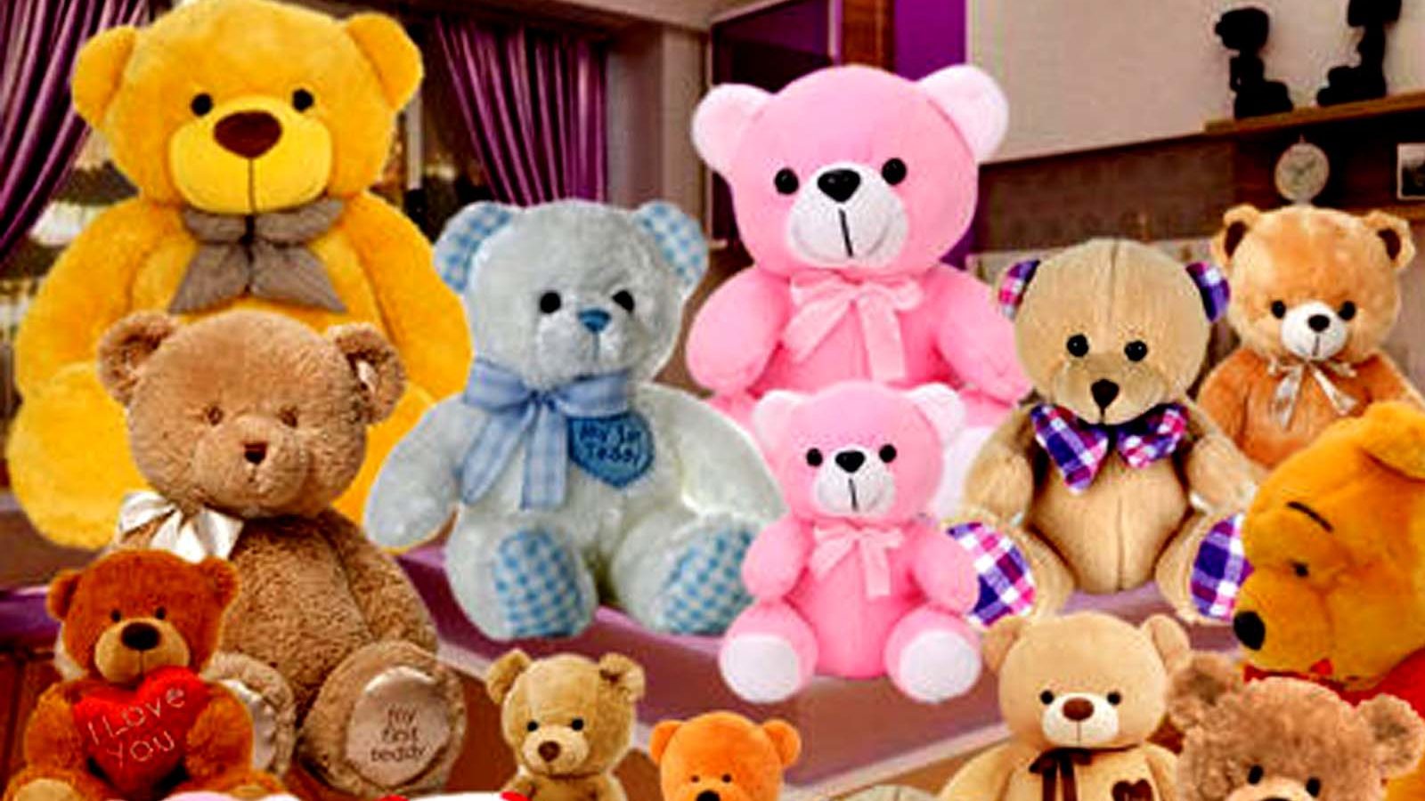 what-does-the-color-of-a-teddy-bear-mean-hindustan-news-hub