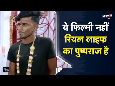 Pushpraj की कहानी किसी फिल्म की कहानी से कम नहीं, शादी का वीडियो हो गया वायरल | Viral Video