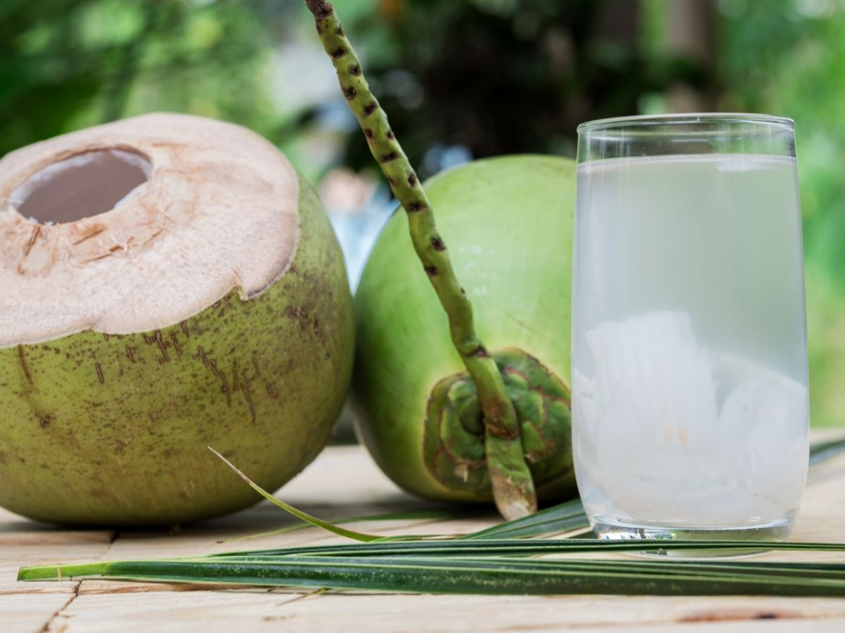 गर्मियों में नारियल पानी पीने से दिल रहेगा स्वस्थ, कम होगा मोटापा और भी हैं  फायदे - 5 benefits of drink coconut water in summer nariyal pani pine ke  fayde kee – News18 हिंदी