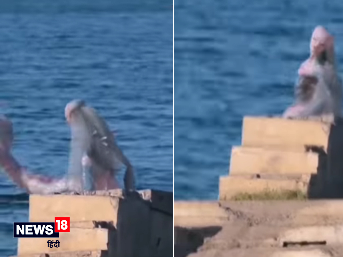 क्या वाकई कैमरे में कैद हो गई जलपरी? लहराते बालों के को देख लोगों ने लिखा-  कंघी करके आई है क्या - is this real jalpari mermaid captured in video going  viral