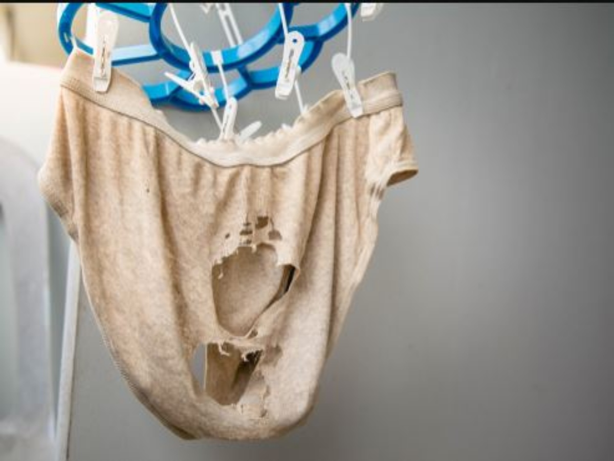 https://images.hindi.news18.com/ibnkhabar/uploads/2022/05/underwear-expiry-date-1.jpg