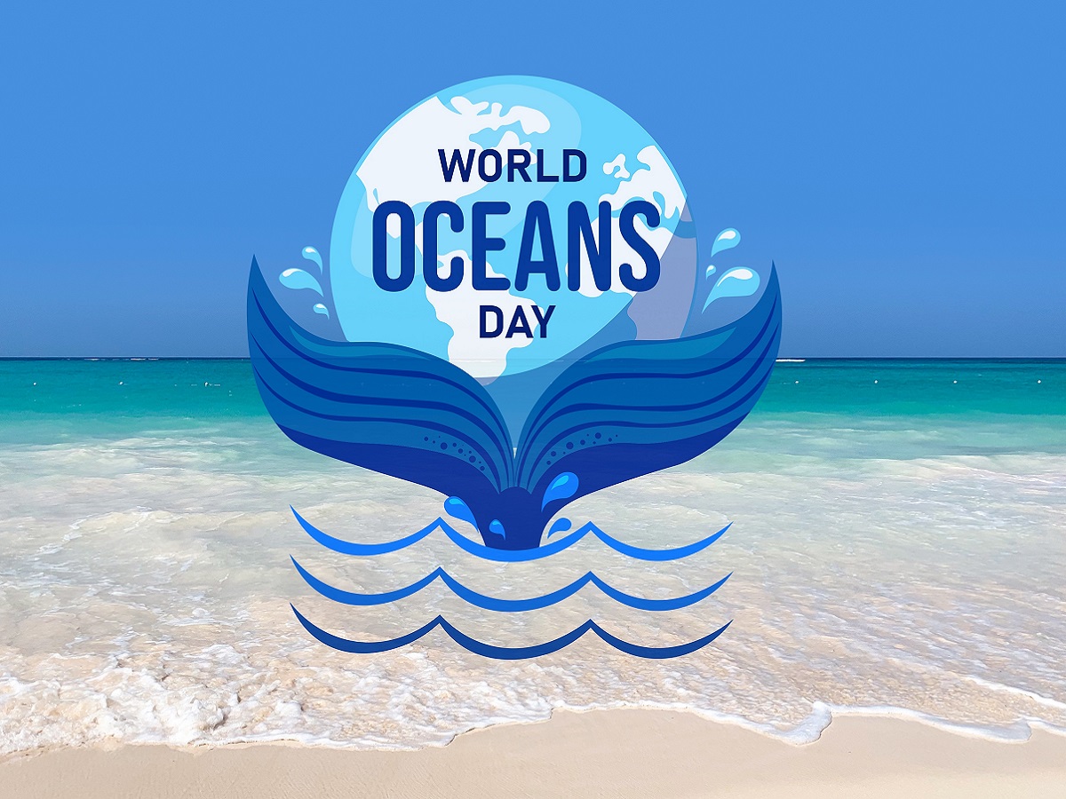 World Ocean Day 2022: महासागरों को क्यों है पुनर्जीवन की जरूरत - World ...